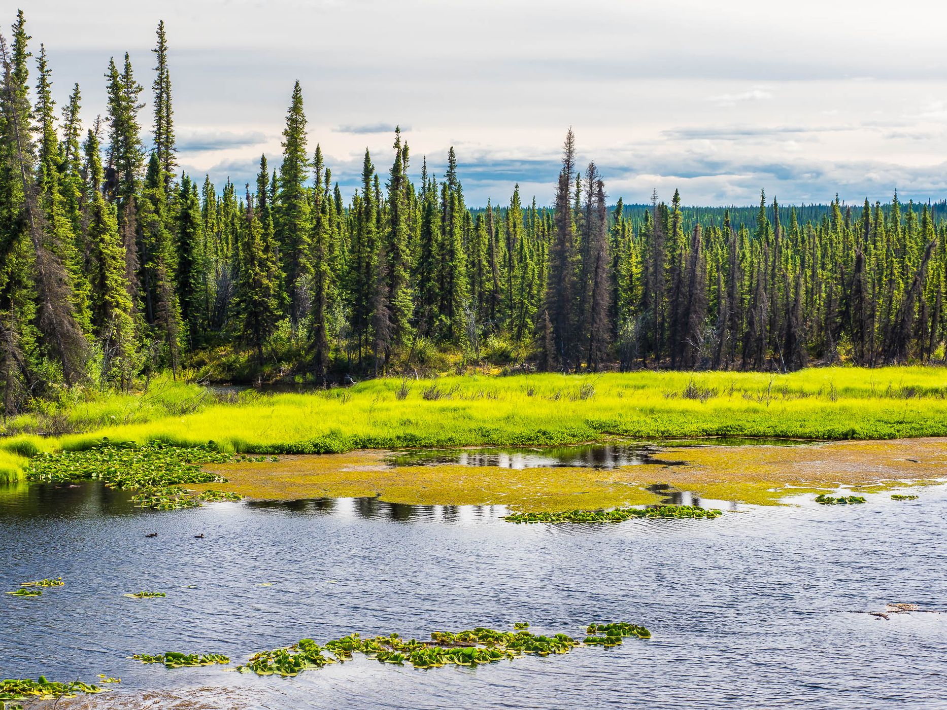 Richardson Highway North of Glennallen, USA
