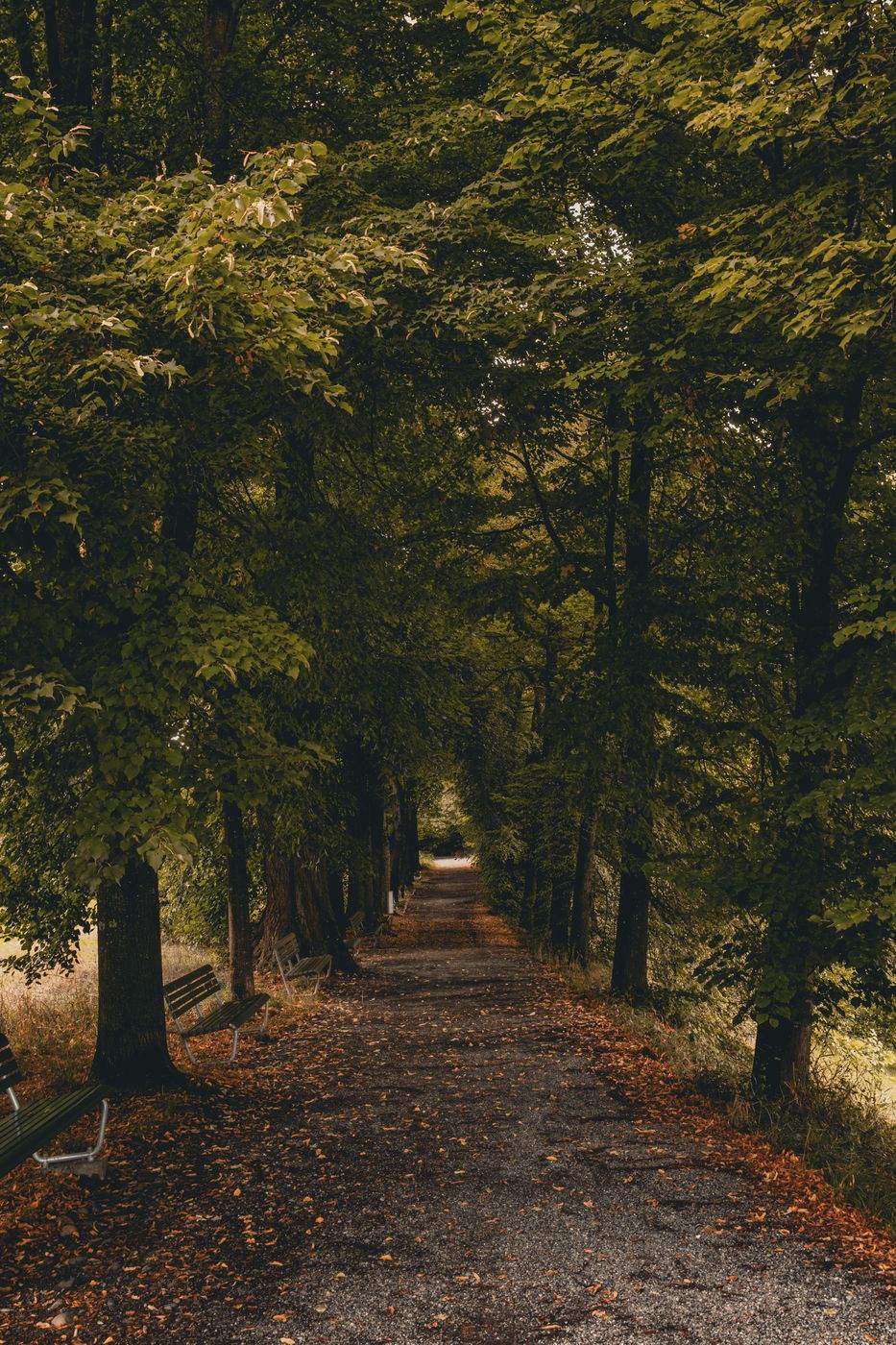 Rieterpark, Switzerland