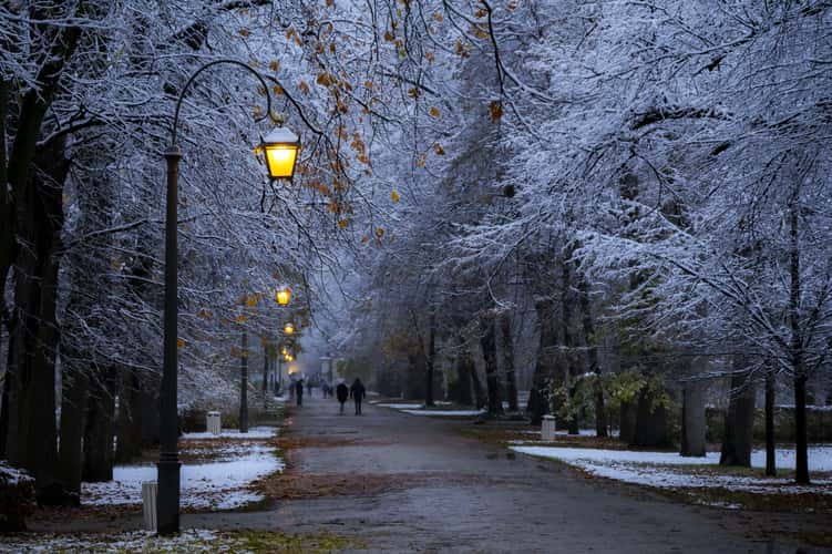 Royal Lazienki Garden