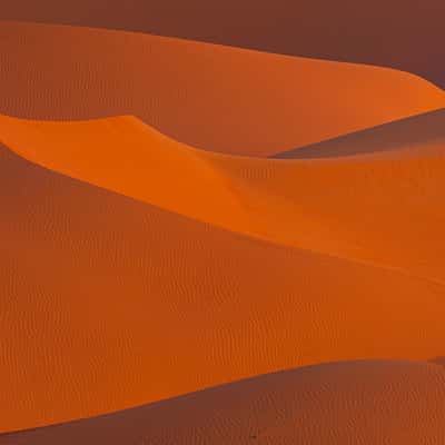 Sand dunes of Liwa Oasis, United Arab Emirates
