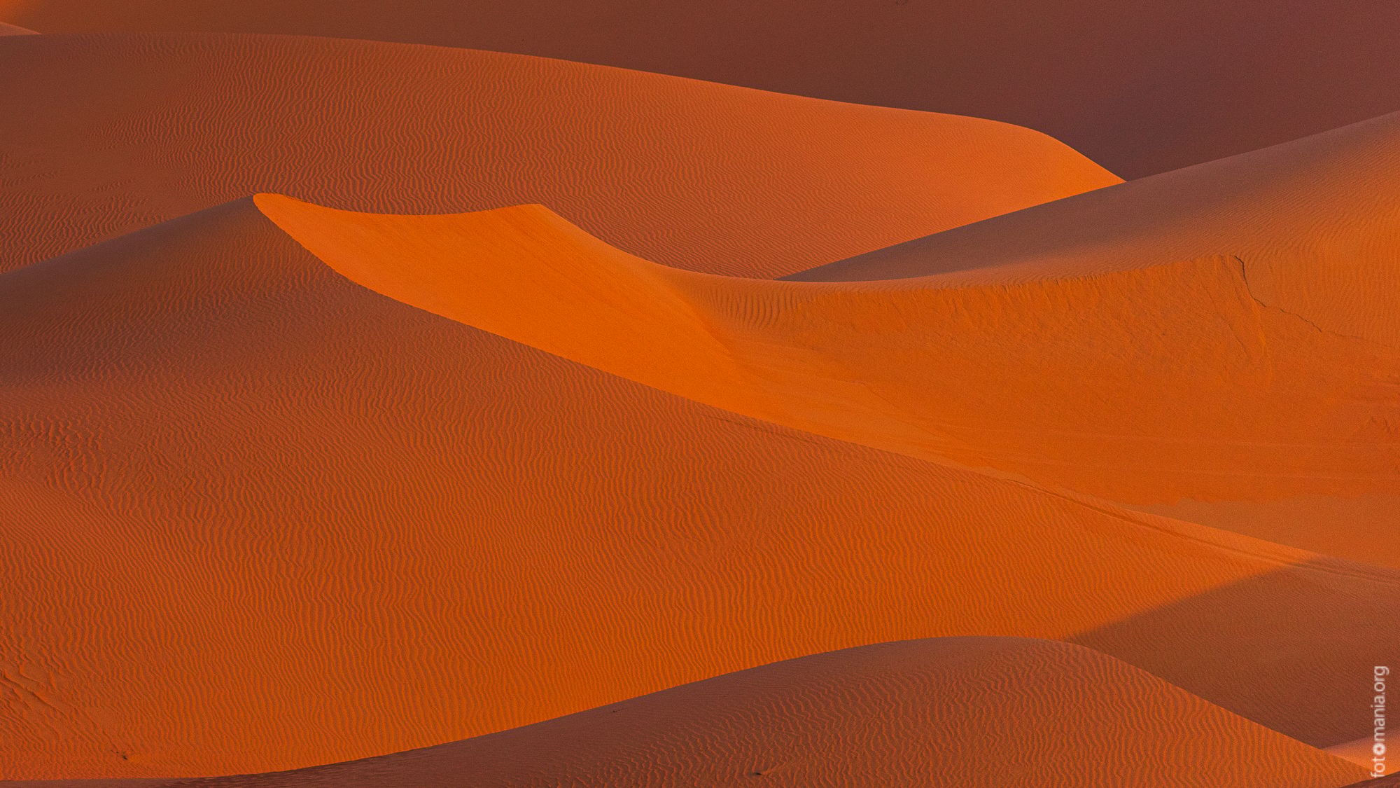 Sand dunes of Liwa Oasis, United Arab Emirates