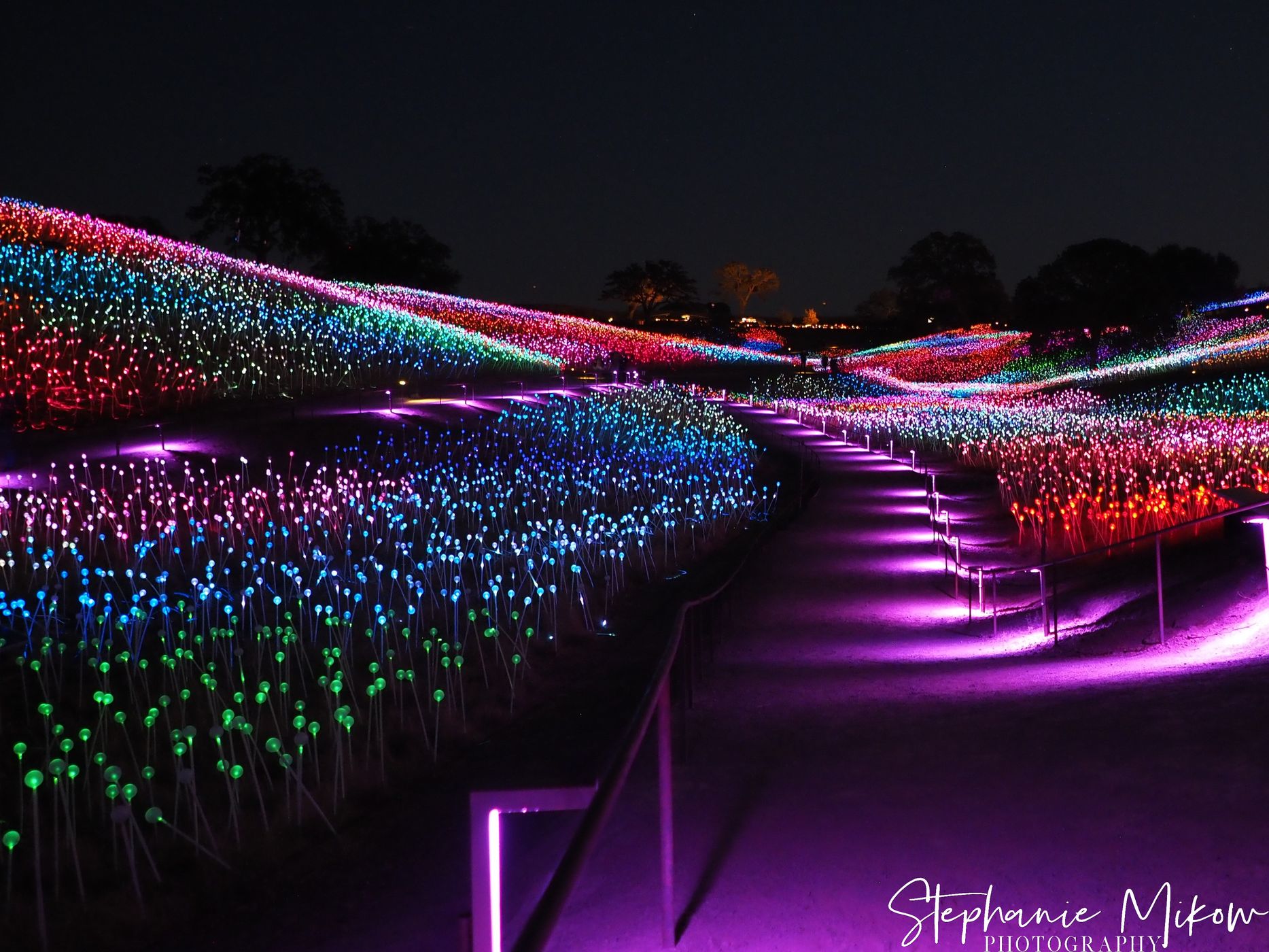 Sensorio, Field of Light, USA