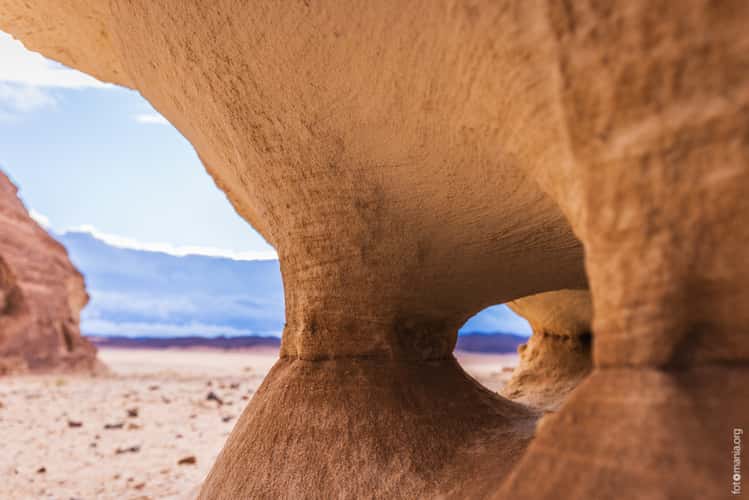 Sinai Desert