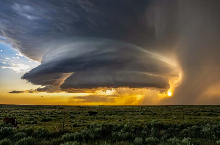 Supercell in Tornado Alley