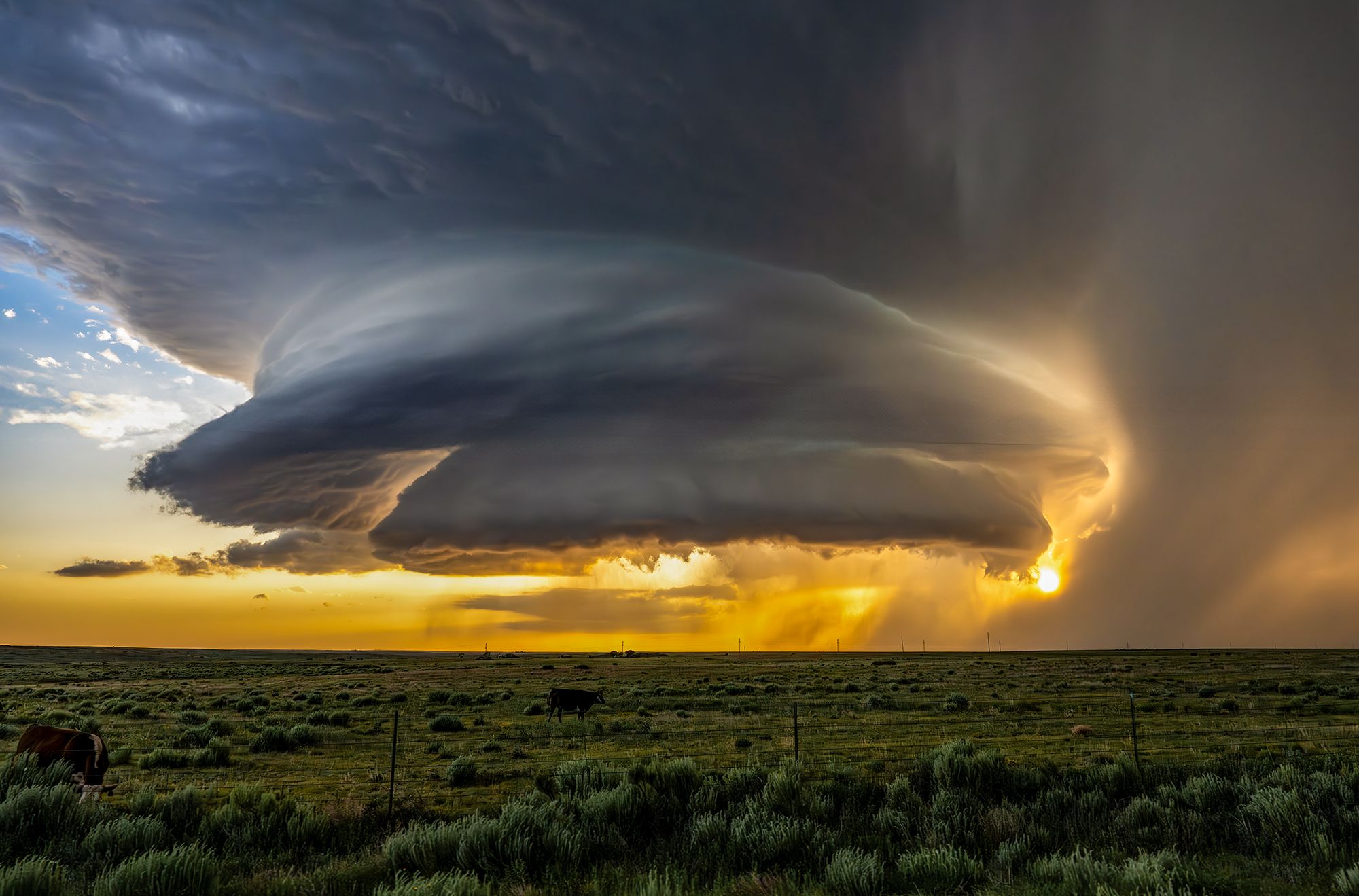 Supercell in Tornado Alley, USA