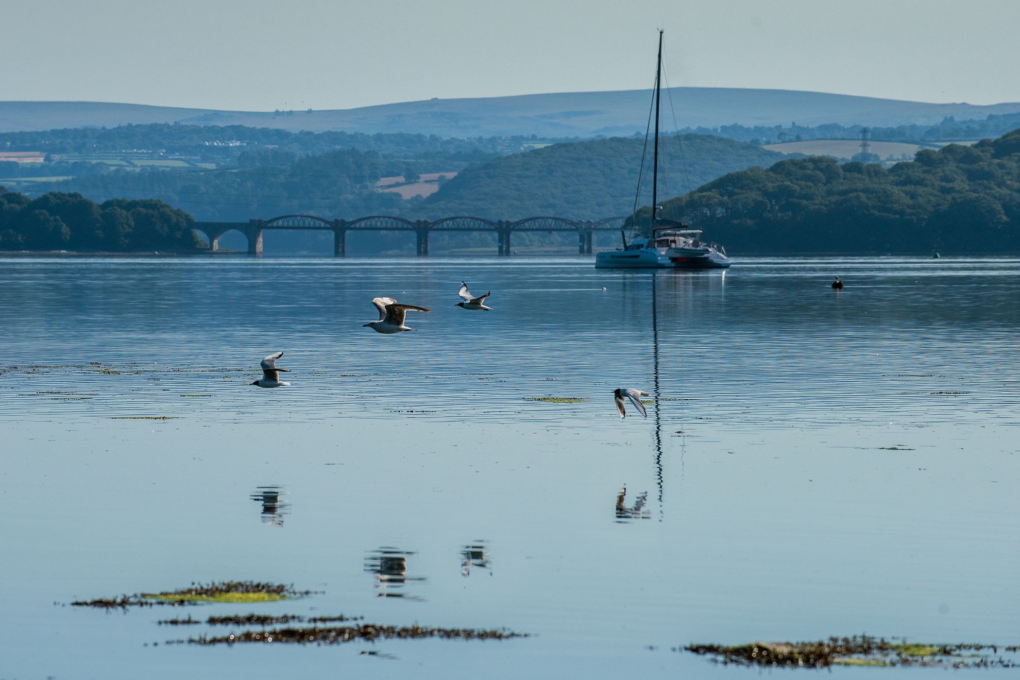 Tamar Bridge, Saltash, United Kingdom
