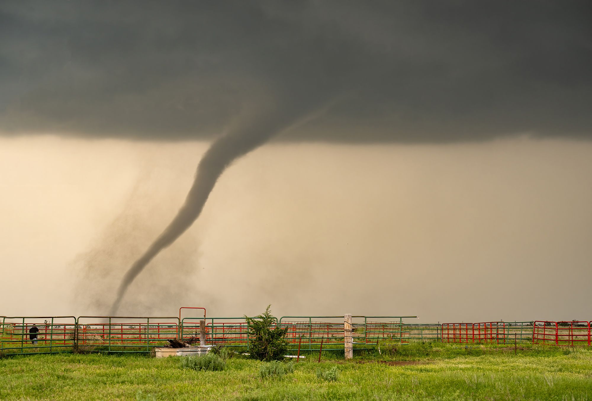 Tornado, USA