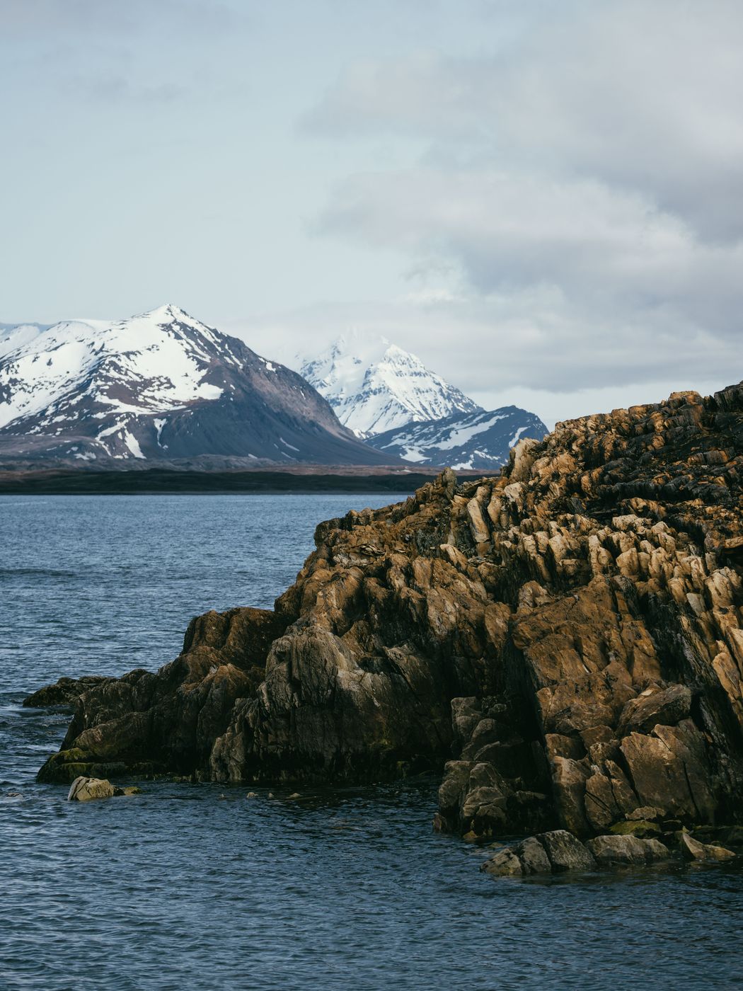 Tundra, Eidembukta, Svalbard & Jan Mayen Islands