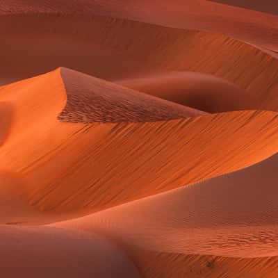 View from dune near Qasr Al Sarab Hotel, United Arab Emirates