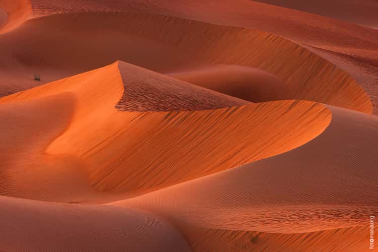 View from dune near Qasr Al Sarab Hotel