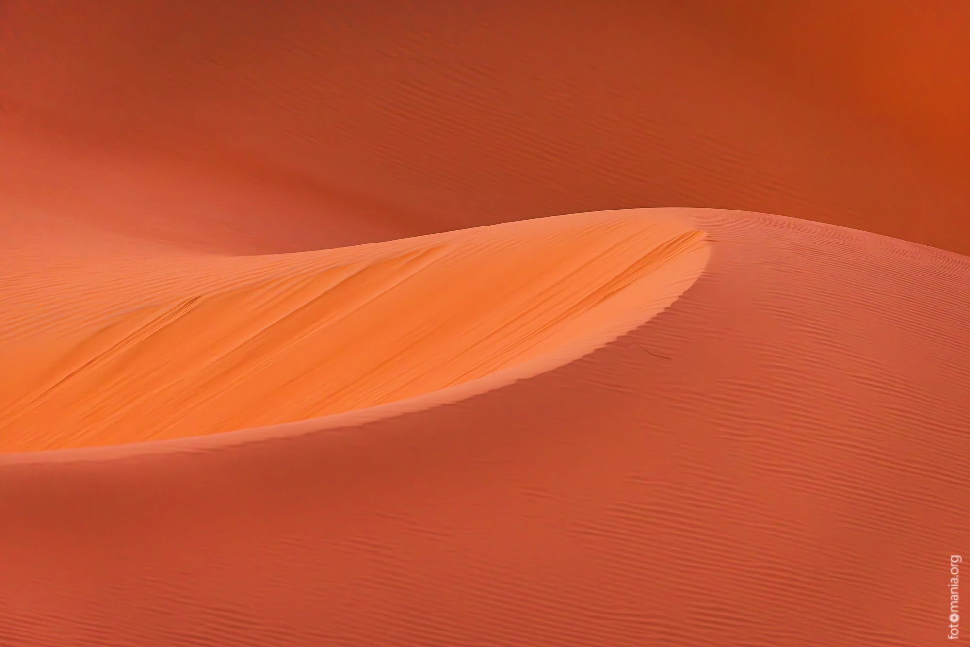 View from dune near Qasr Al Sarab Hotel, United Arab Emirates