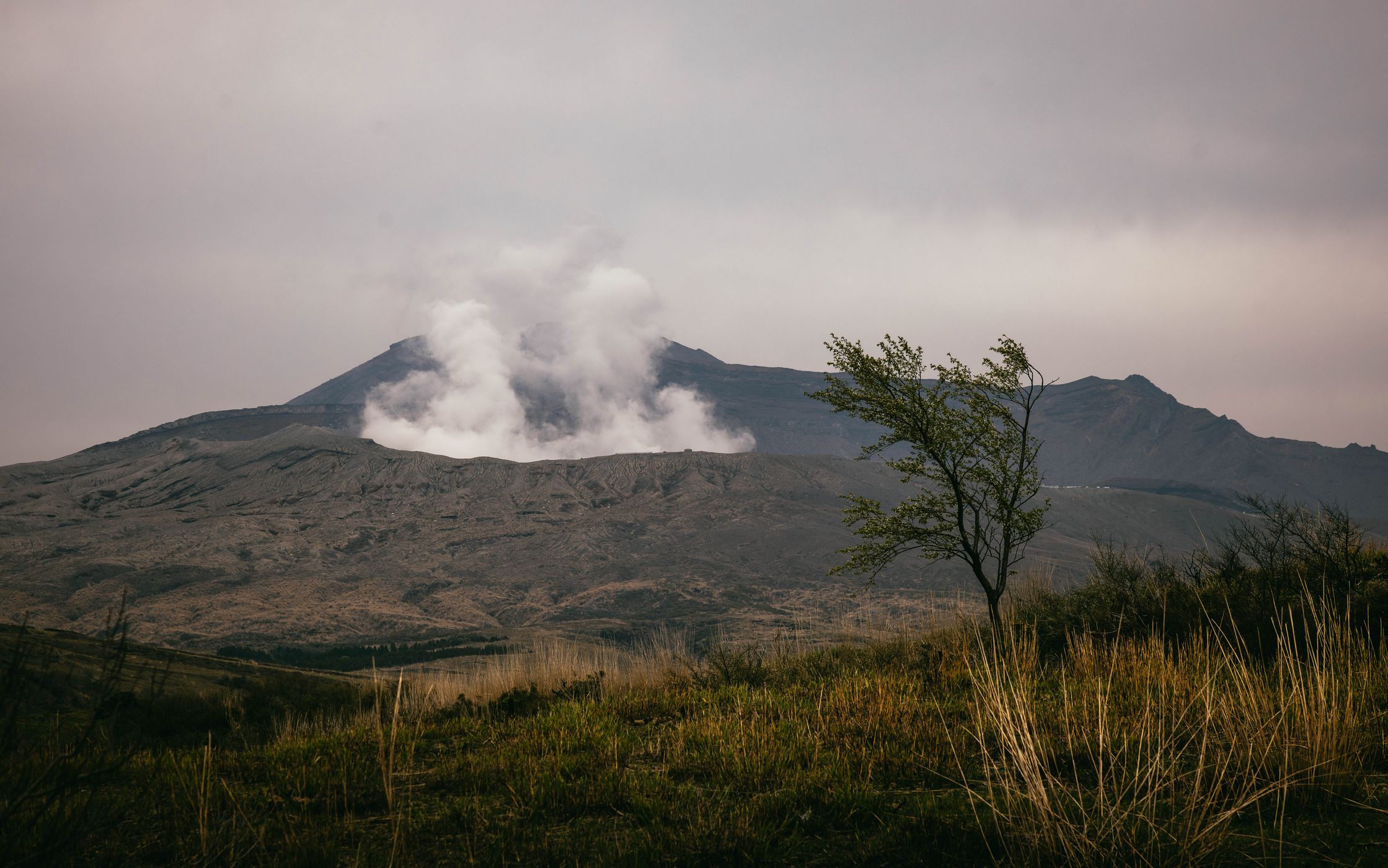 View to Nakadake No. 1 Crater, Aso-Kuju National Park, Japan
