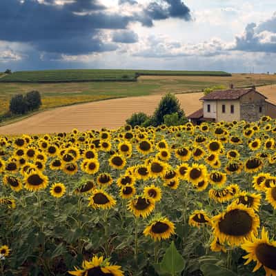 Monferrato - Italy, Italy