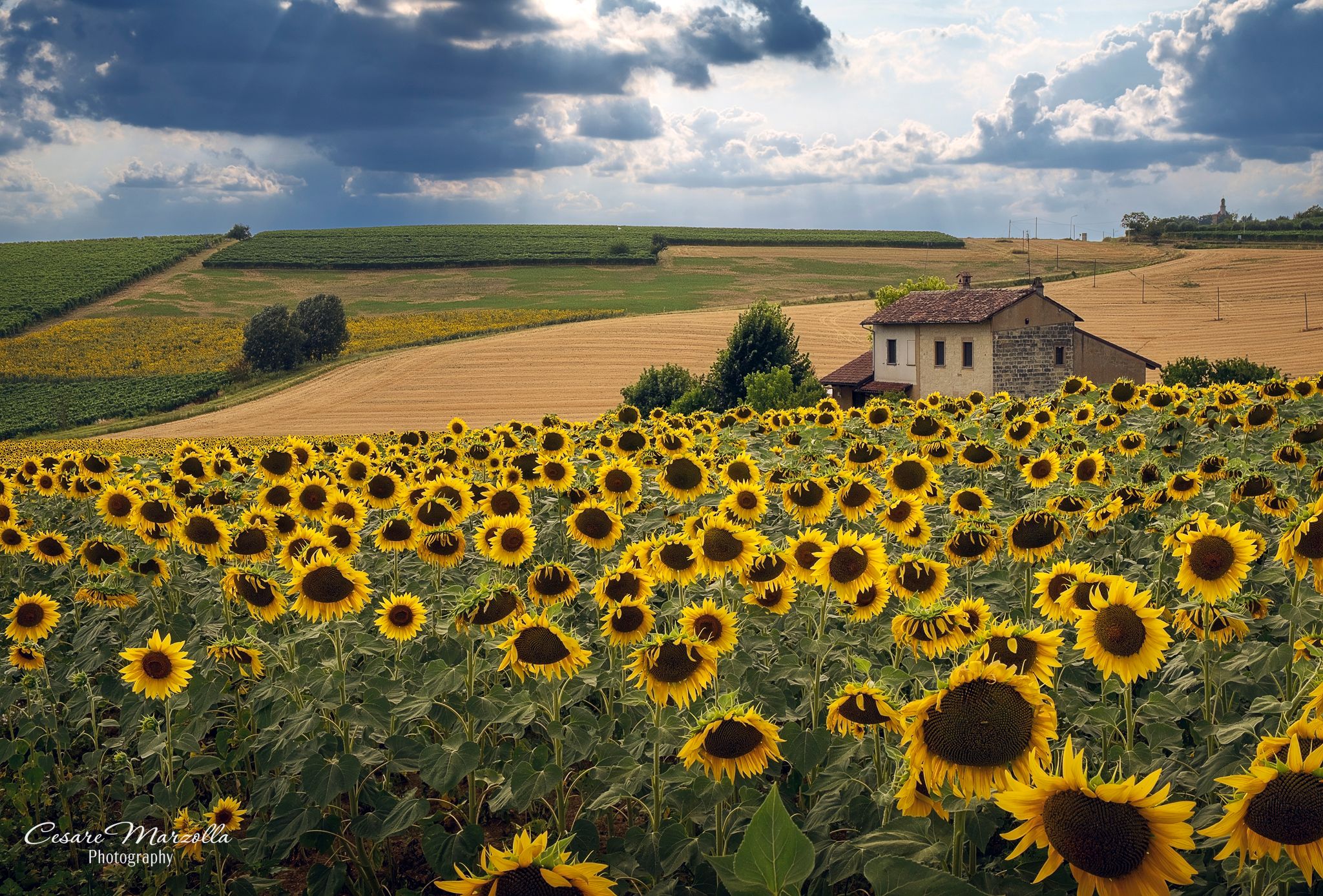 Monferrato - Italy, Italy