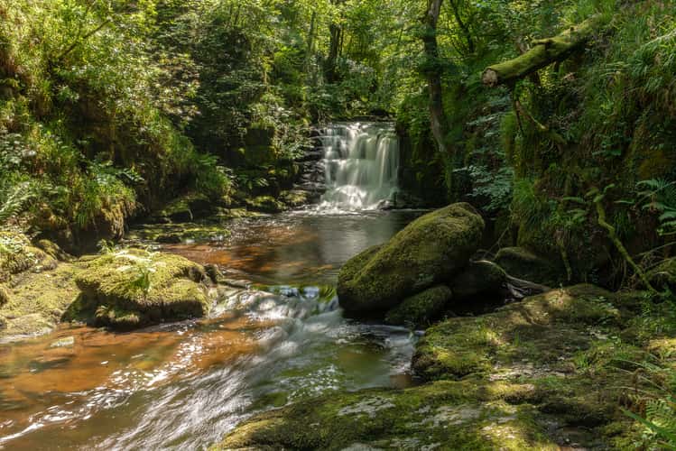 Watersmeet (National Trust) Near Lynmouth