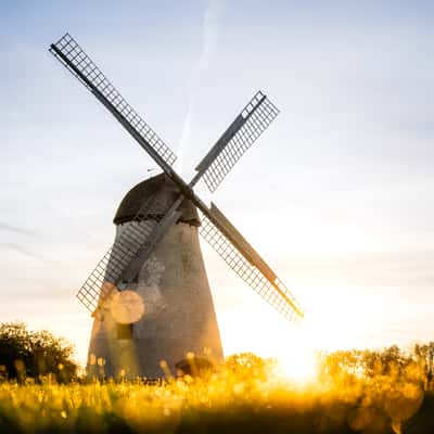Windmühle auf dem Höxberg (Front), Germany