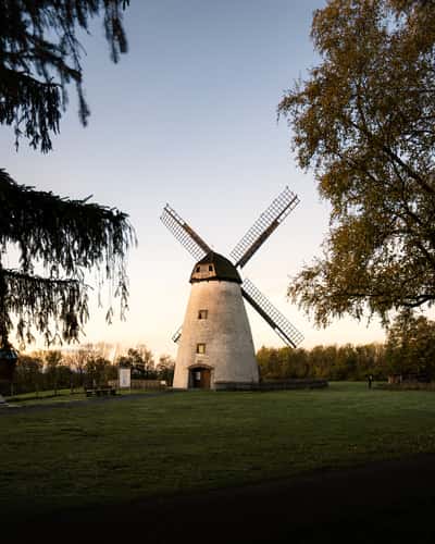 Windmühle auf dem Höxberg (View from Path)