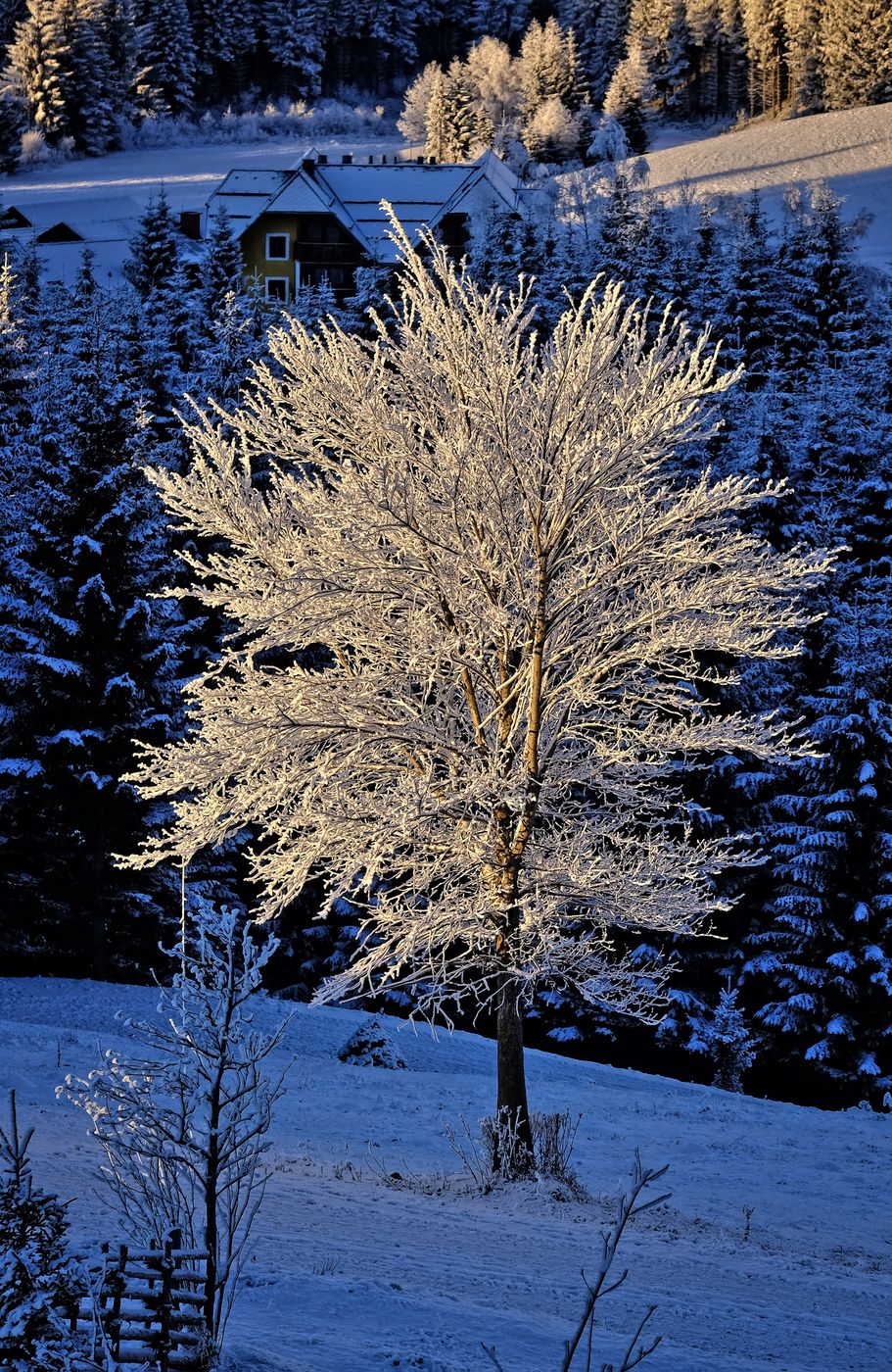 Wintersonne, Austria