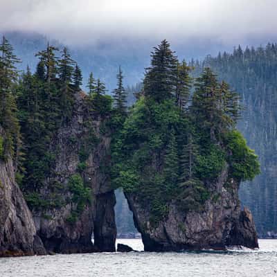 Aialik Bay, USA