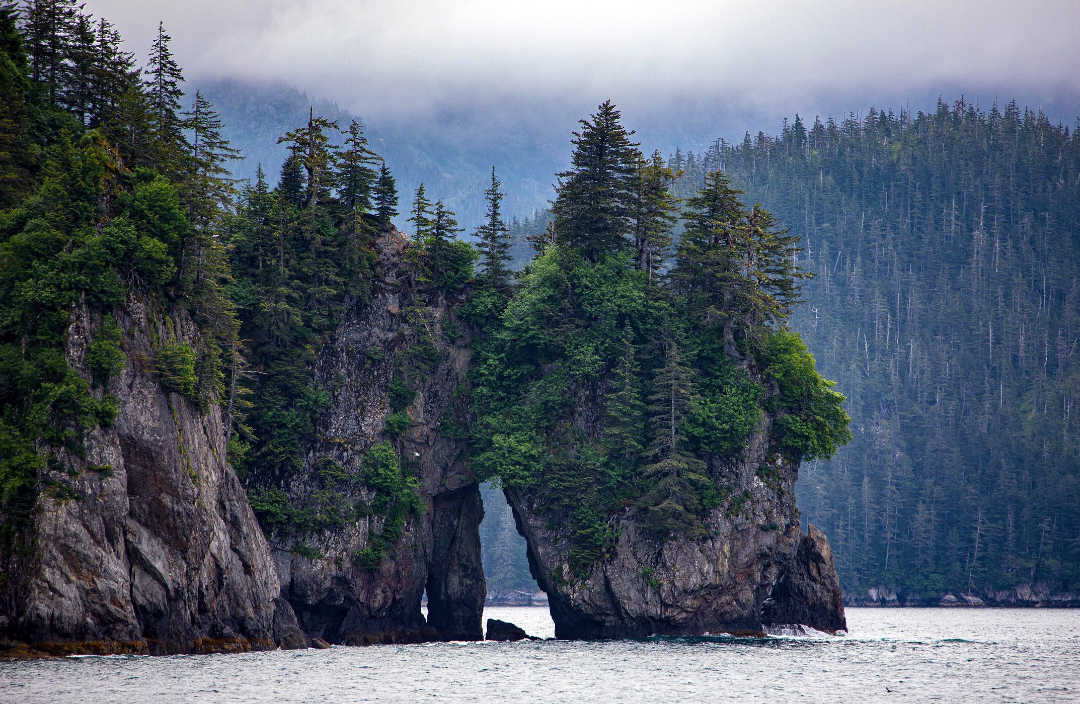 Aialik Bay, USA