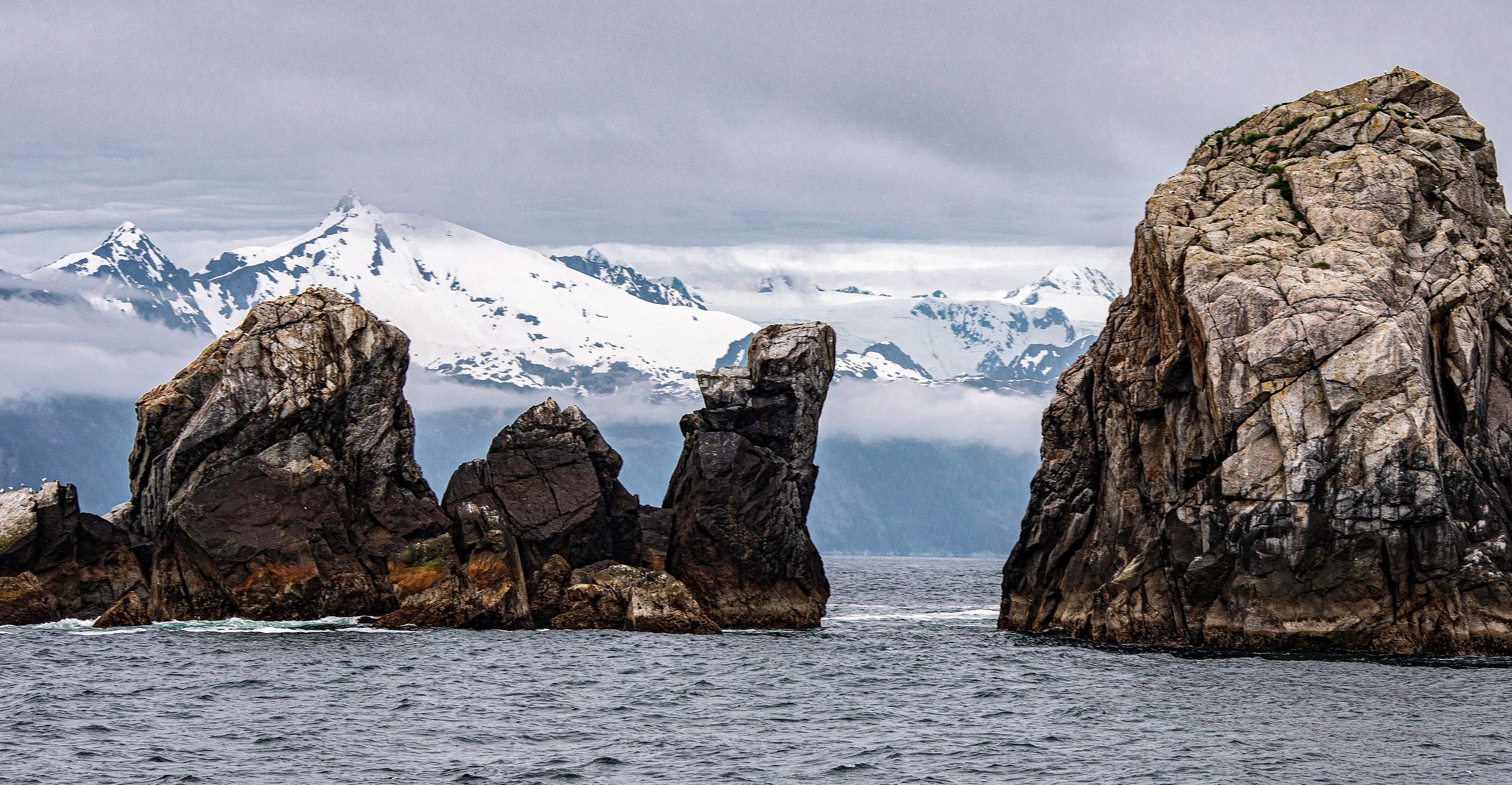 Aialik Cape, USA