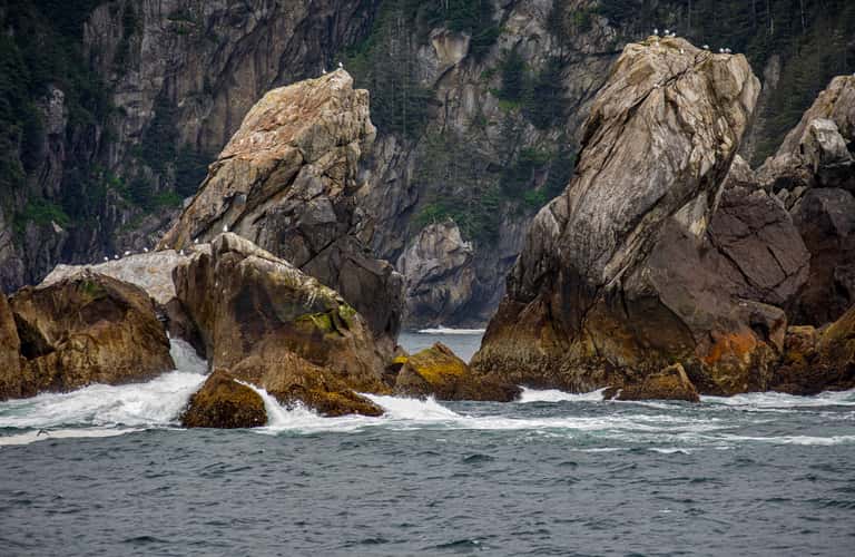 Aialik Cape