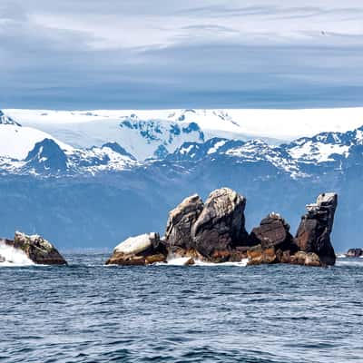 Aialik Cape, USA