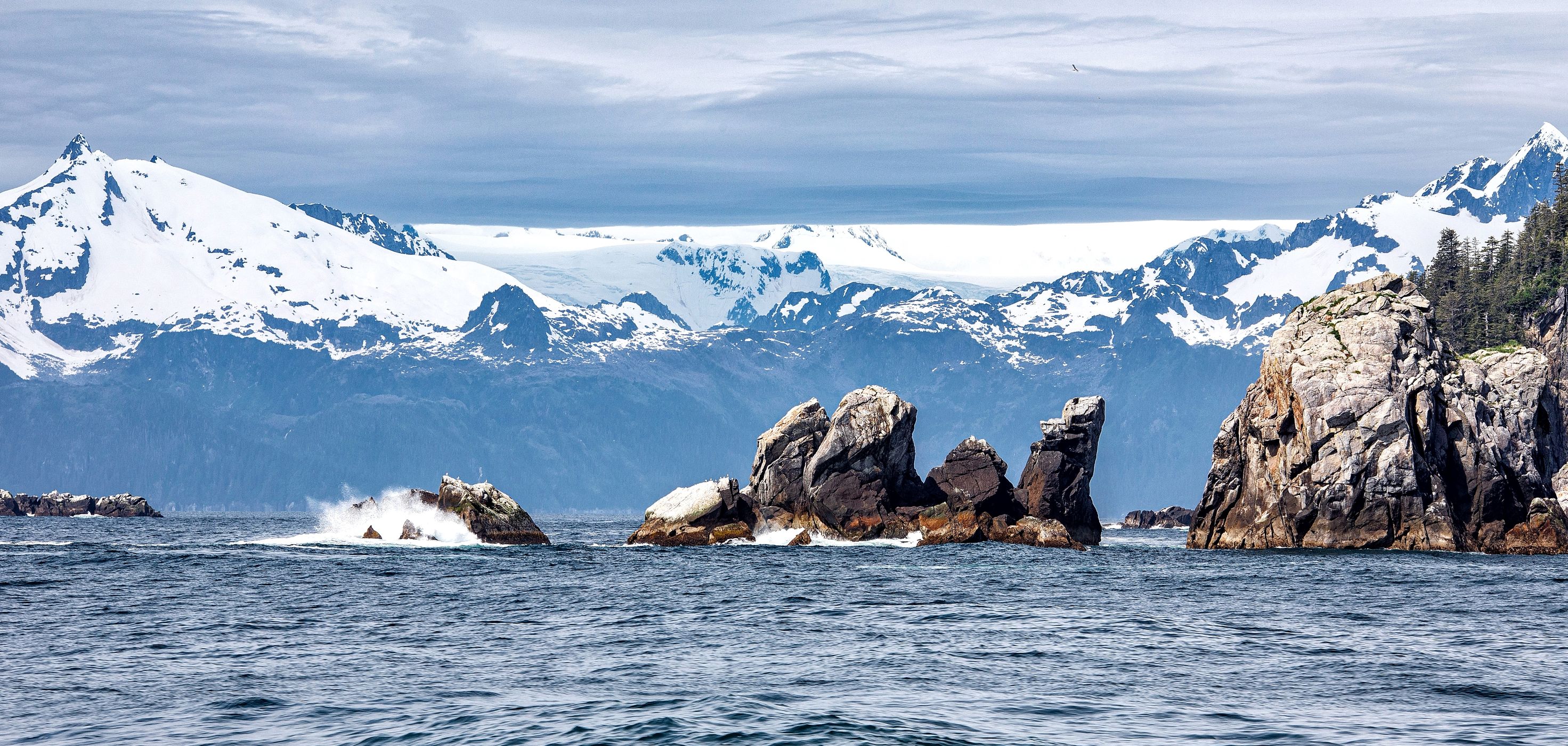 Aialik Cape, USA