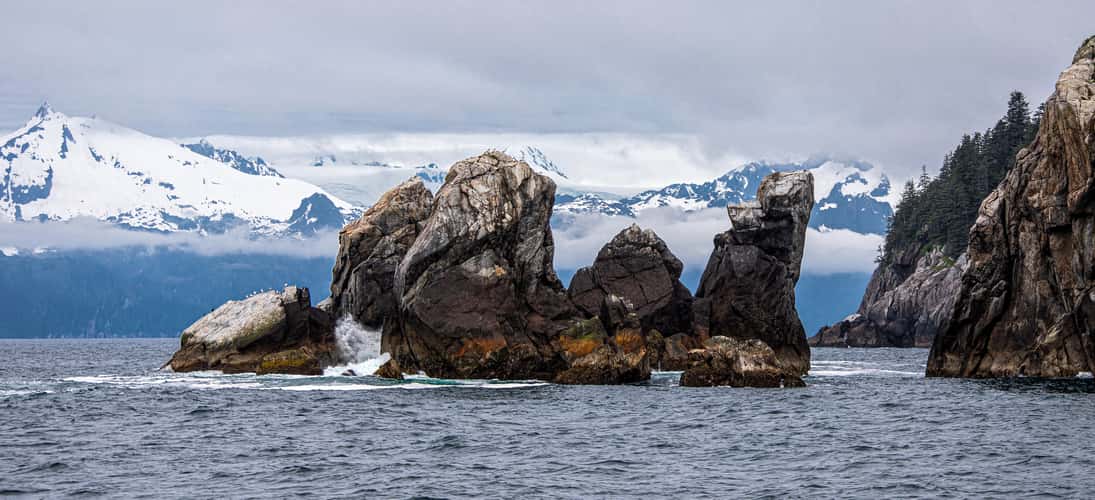 Aialik Cape
