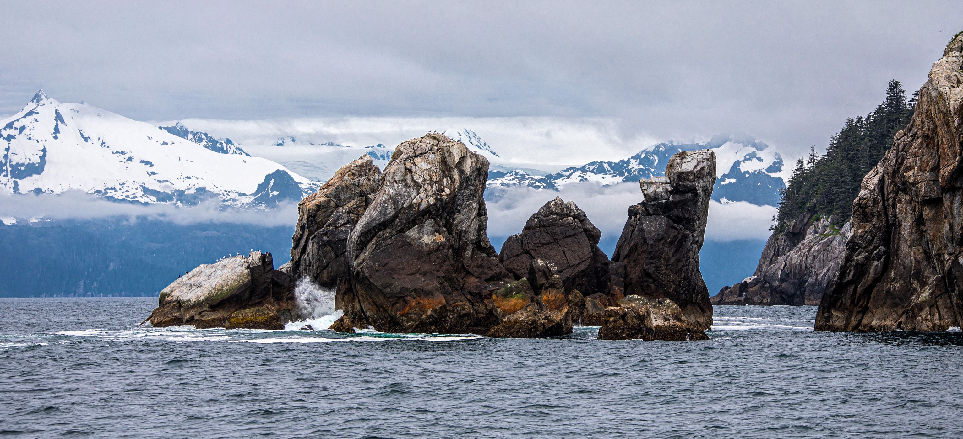 Aialik Cape, USA
