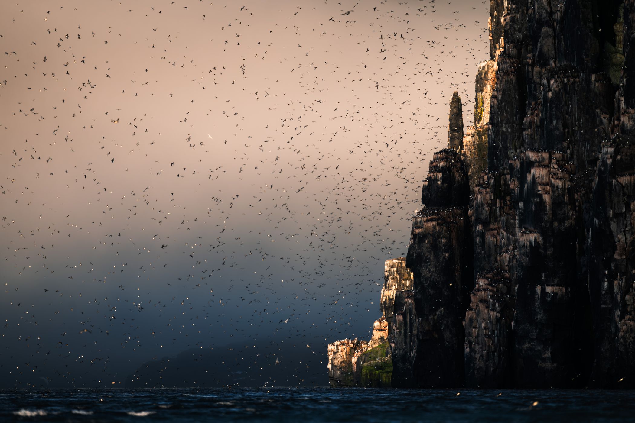 Alkefjellet Northern Side, Svalbard & Jan Mayen Islands