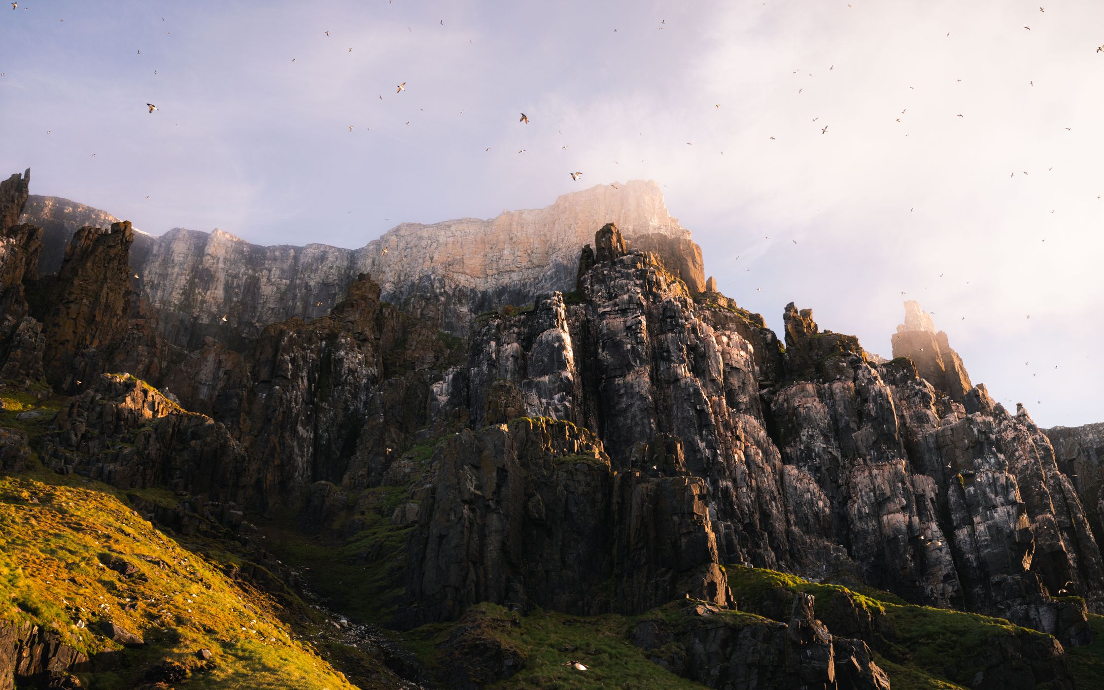 Alkefjellet Sea Cliffs, Svalbard & Jan Mayen Islands