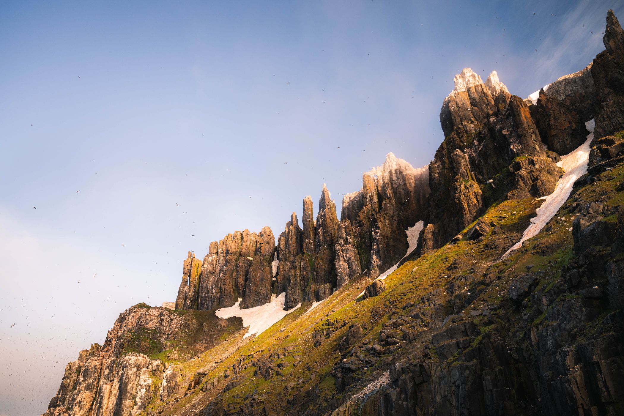 Alkefjellet Sea Cliffs, Svalbard & Jan Mayen Islands