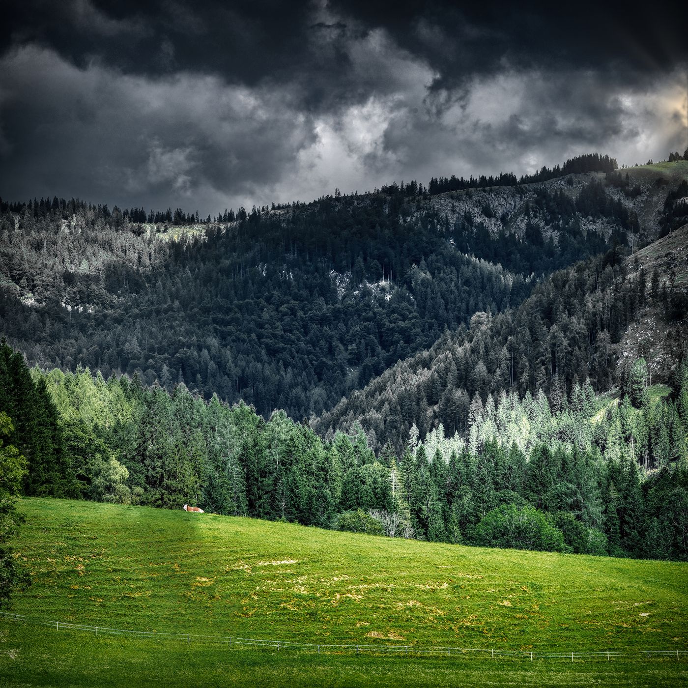 Alone, Austria