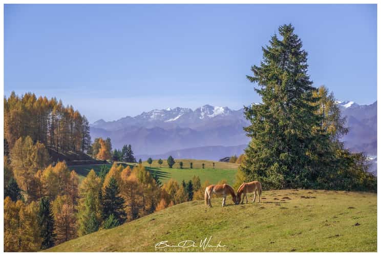 Alpe di Siusi