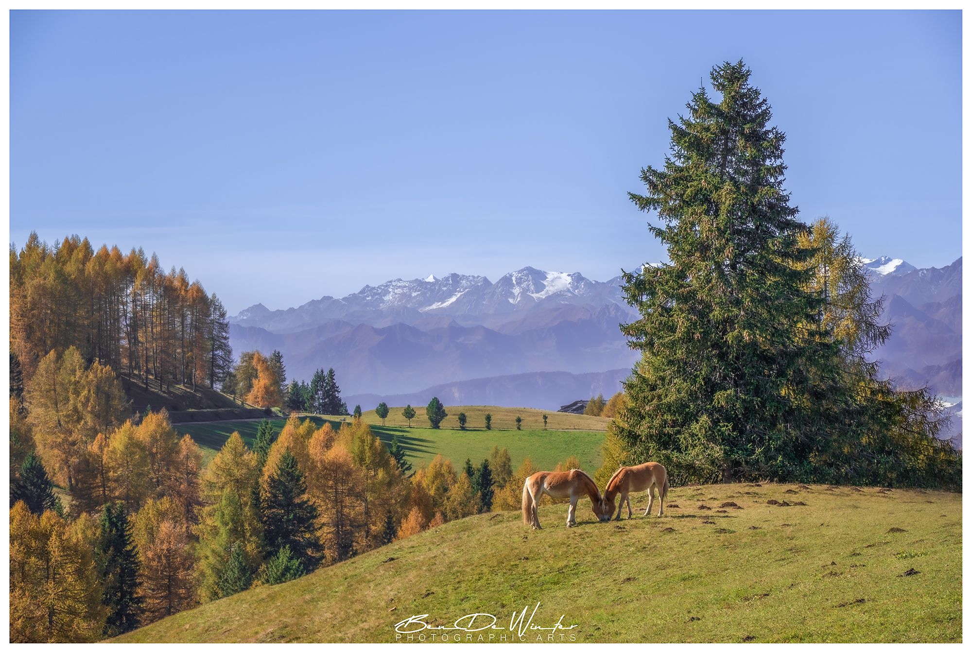 Alpe di Siusi, Italy