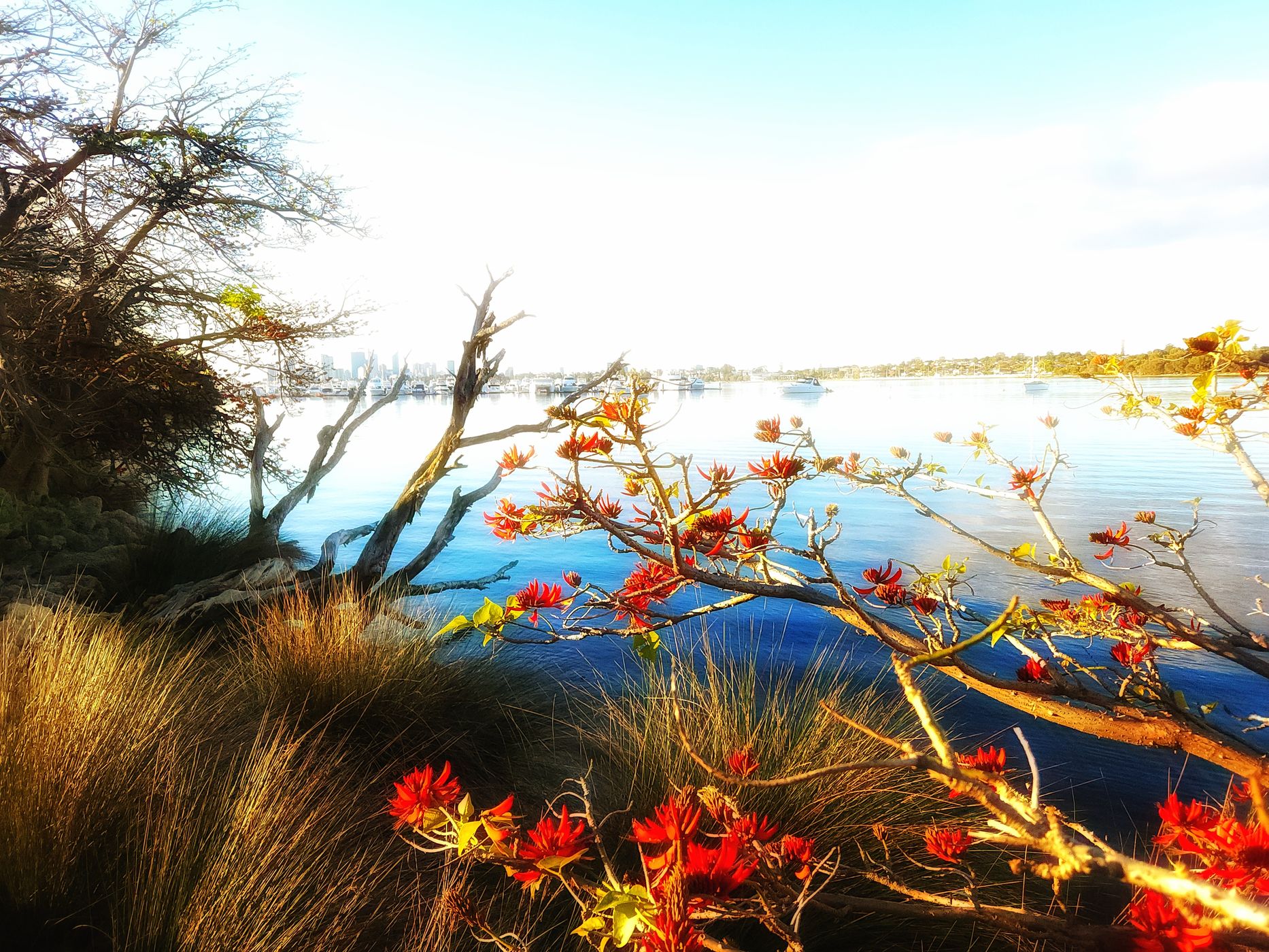 Applecross Foreshore, Australia