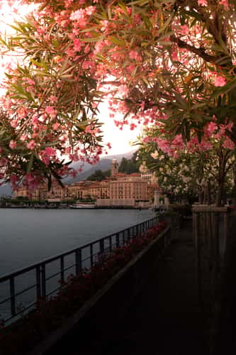 bellagio