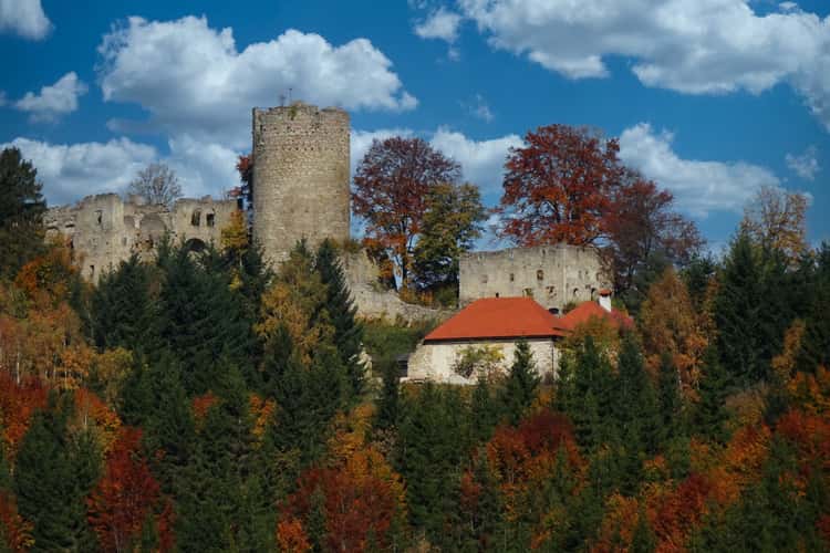 Burgruine Prandegg