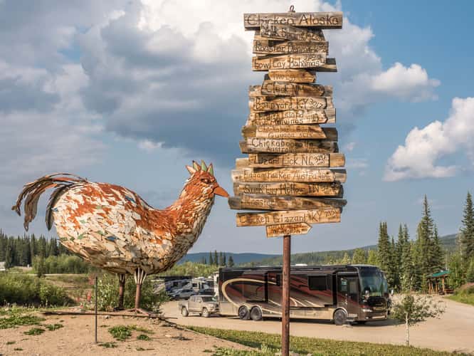 Chicken