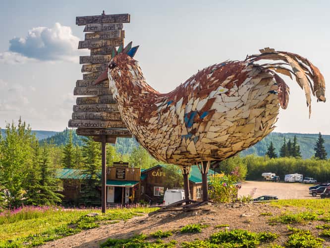 Chicken
