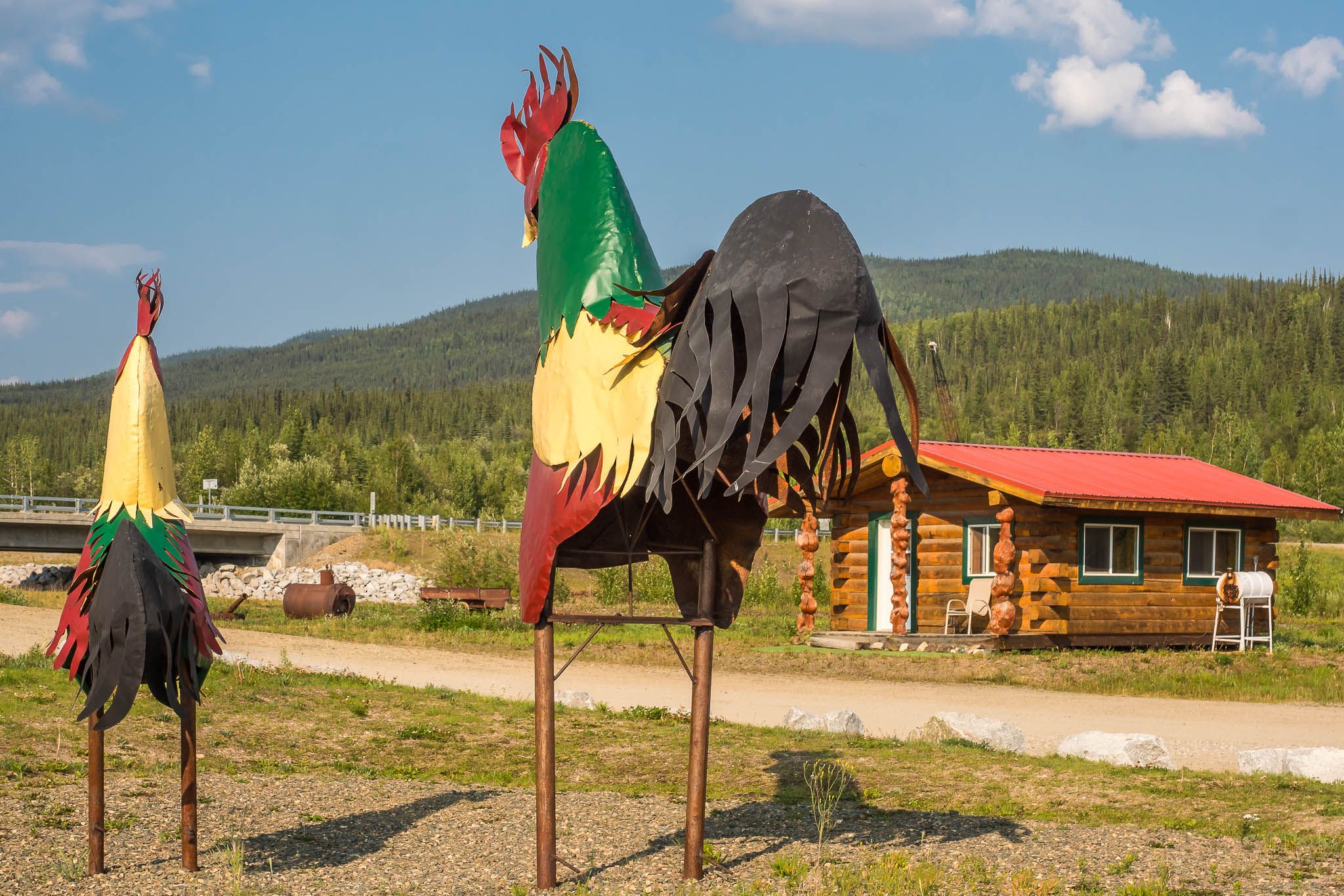 Chicken, USA