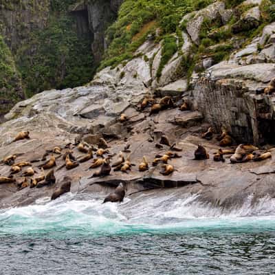 Chiswell Islands, USA