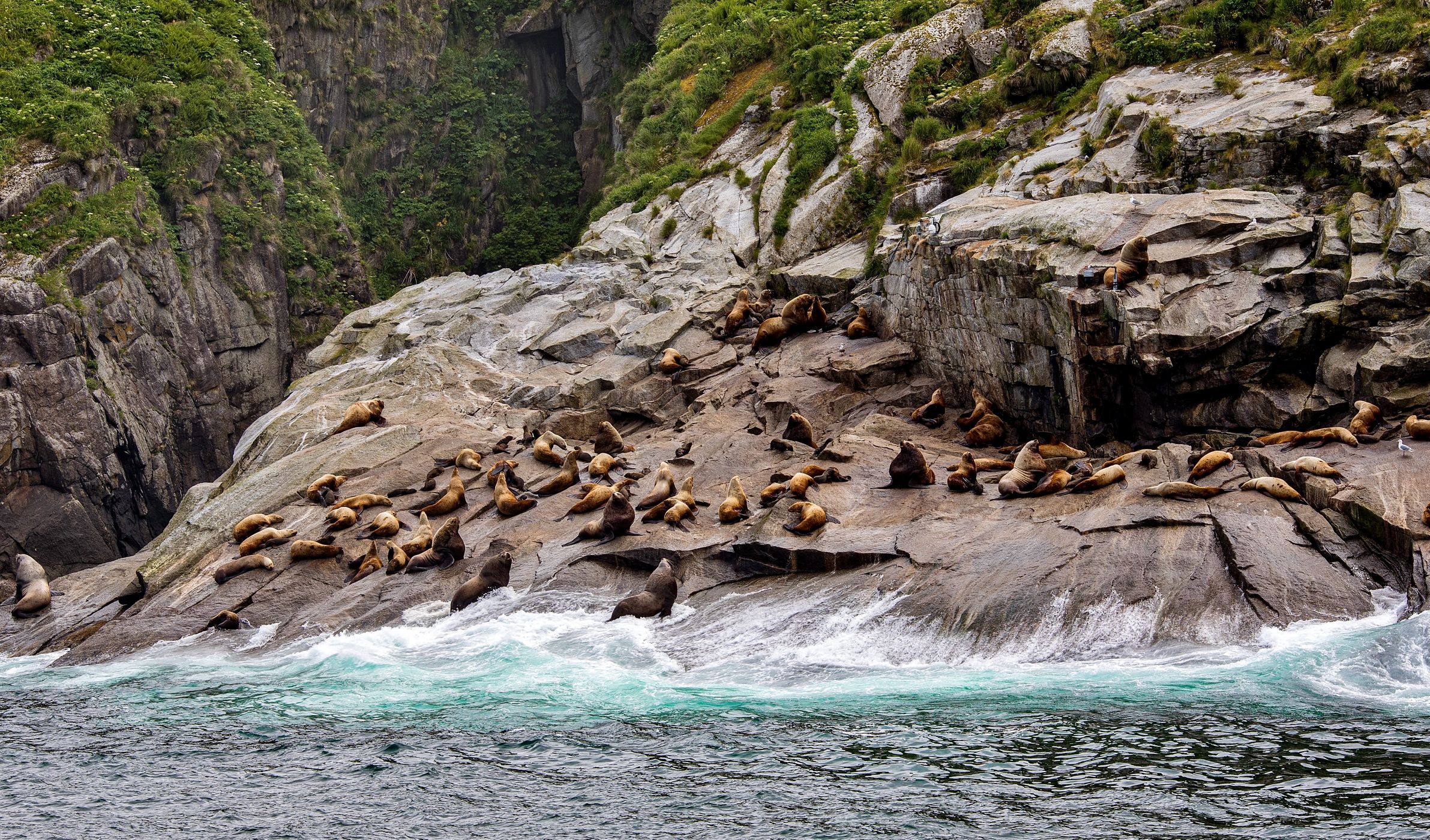 Chiswell Islands, USA