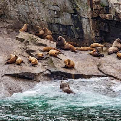 Chiswell Islands, USA