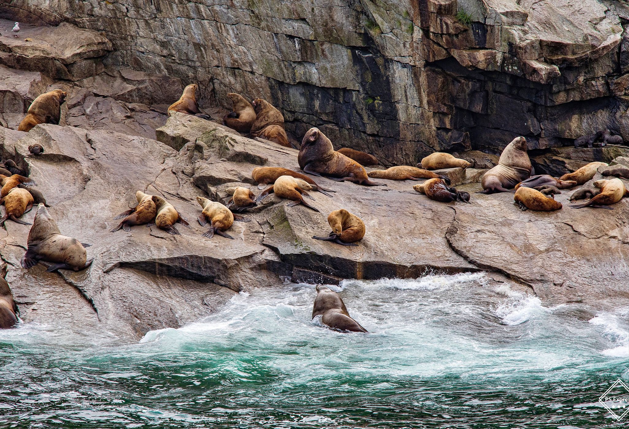 Chiswell Islands, USA