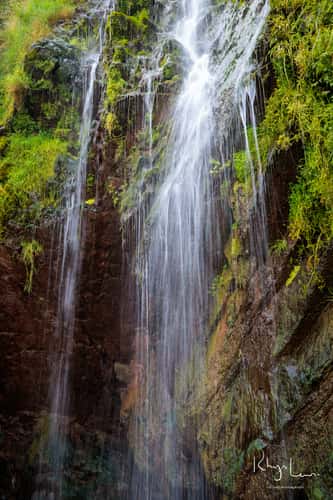 Clovelly Waterfall