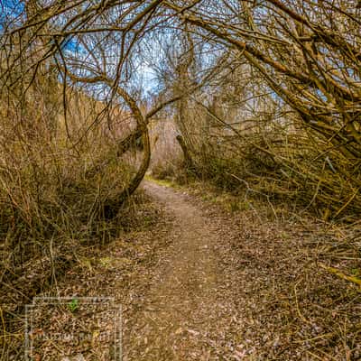 Cottonwood Creek Trail, USA