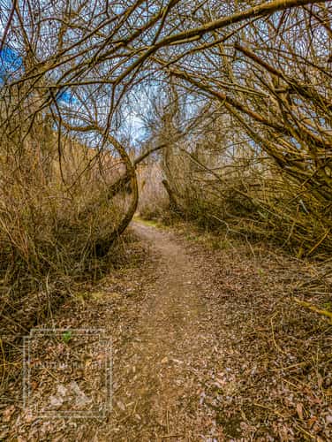 Cottonwood Creek Trail