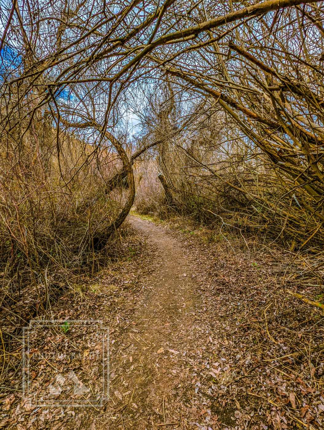 Cottonwood Creek Trail, USA